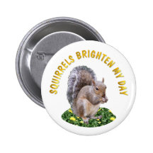 Les écureuils éclairent mon jour badge avec épingle