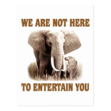 Les éléphants méritent le respect carte postale
