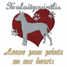 Les empreintes de pattes de congé de Xoloitzcuintl