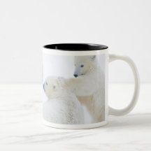 Les Etats-Unis, Alaska, plaine 1002 côtière de l'A Mugs