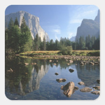 Les Etats-Unis, la Californie, parc national de Yo Autocollants