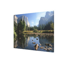 Les Etats-Unis, la Californie, parc national de Yo Toile Tendue