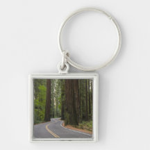 Les Etats-Unis, la Californie, route par la forêt  Porte-clefs