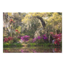 Les Etats-Unis, la Caroline du Sud, Charleston. Ar Art Photographique