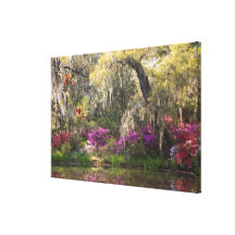 Les Etats-Unis, la Caroline du Sud, Charleston. Ar Toile Tendue