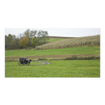 Les Etats-Unis, Ohio du nord-est. Boguet amish à l Photo D’art