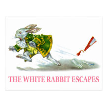 Les évasions blanches de lapin cartes postales