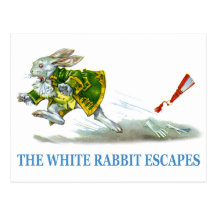 Les évasions blanches de lapin ! cartes postales