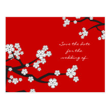 Les fleurs de cerisier blanches de Sakura sauvent  Cartes Postales
