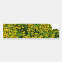 les fleurs jaunes, Hatley du nord, Estrie fleurit Adhésifs Pour Voiture