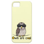 Les hiboux sont frais coque iPhone 5