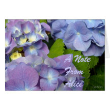 Les hortensias bleus les plus bleus carte de vœux