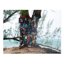 Les Îles Caïman : arbre de chaussure au bord de l' Carte Postale