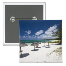 Les Îles Maurice, Îles Maurice orientales, jument  Badge Avec Épingle