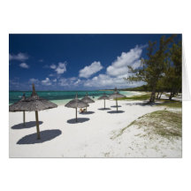 Les Îles Maurice, Îles Maurice orientales, jument  Cartes De Vœux