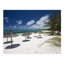 Les Îles Maurice, Îles Maurice orientales, jument  Cartes Postales