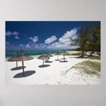 Les Îles Maurice, Îles Maurice orientales, jument  Posters