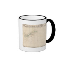 Les Îles Shetland 43 Tasse À Café