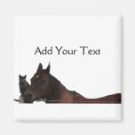 Les meilleurs amis chat et cheval caressent magnets