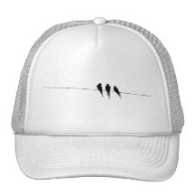 Les merles silhouettent sur le fil casquettes