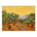 Les oliviers jaunissent le ciel Sun, Van Gogh, art Cartes Postales