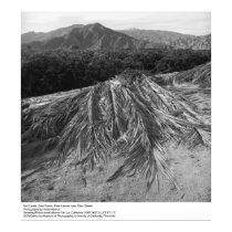 Les palmettes s'approchent de Palm Desert par Anse posters