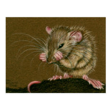 Les pattes folles de rat lèvent la carte postale