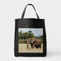 Les plaines de marche de Mara de masai d'éléphant 