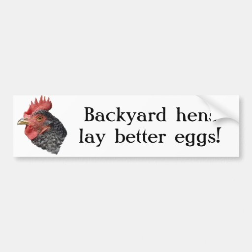 Les poules de jardin pondent de meilleurs oeufs !  autocollant pour voiture