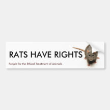 LES RATS ONT DES DROITS ADHÉSIF POUR VOITURE