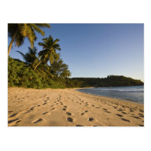 Les Seychelles, île de Mahe, plage d'Anse Takamaka Carte Postale