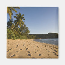 Les Seychelles, île de Mahe, plage d'Anse Takamaka Aimant Pour Réfrigérateur