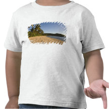 Les Seychelles, île de Mahe, plage d'Anse Takamaka T-shirts