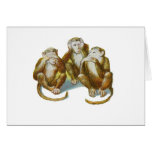 Les singes comiques entendent See ne faire aucun m Carte De Vœux
