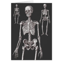Les squelettes sont hors du cabinet ! Carte de voe