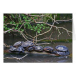 Les tortues empilent carte de vœux