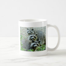 Les trois ratons laveurs mugs à café