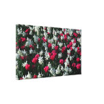 Les tulipes 16 ont étiré la copie de toile impression sur toile