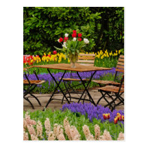 Les tulipes de la table dans le jardin, Keukenhof  Carte Postale