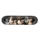 Les Untouchables - série de champion de Pitbull Skateboard
