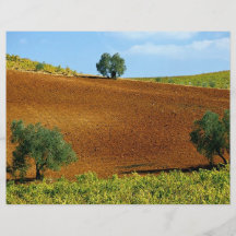 Les vignobles s'approchent de Montilla, Andalousie Prospectus