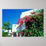 Les villas, Val font Lobo, Portugal fleurit Affiche
