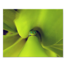 Les yeux l'ont impressions photographiques