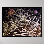 L'espace Gaïa Posters