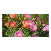 L'été fleurit le carte photo photocarte