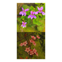 L'été fleurit Photocard Cartes Avec Photo