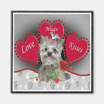 L'étreinte d'amour de Yorkie embrasse l'aimant
