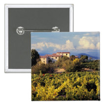 L'Europe, France, Bonnieux. Les vignobles couvrent Pin's