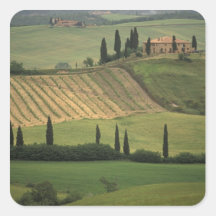 L'Europe, Italie, Toscane, d Orcia, le Toscan de V Autocollants