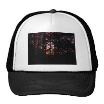 Lever de soleil de matin par les bois casquettes